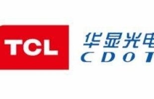 华显光电（00334.HK）公布2024年全年业绩，利润同比上升404%