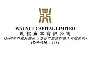 胡桃資本(00905.HK)7月末每股綜合資産淨值0.087港元