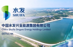 水發興業能源 (00750.HK) 拟委任安永為新核數師