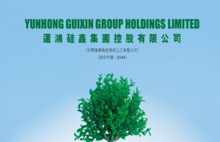 矽鑫集團(08349.HK)文鵬辭任獨立非執行董事