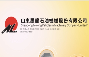 山东墨龙（00568.HK）股价飙升，多重利好因素共振引发市场关注