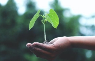 中國碳市場建設邁入新階段