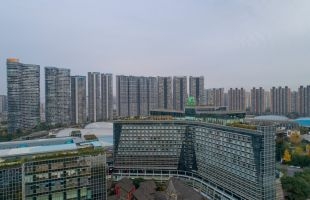 世纪城市国际(00355.HK)：温子伟获委任执行董事