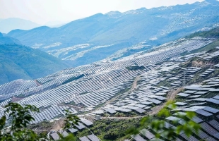 阿里巴巴（09988.HK）5月开局强劲 财报与AI叙事成焦点   