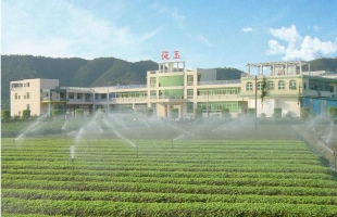 從玉智農(00875.HK)中期純利為126.2萬港元 同比減少86.4%