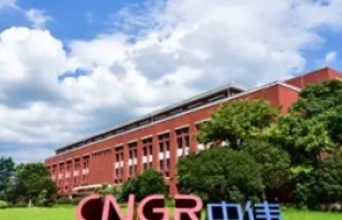 中伟新材料（02579.HK）pCAM 产品销售价值全球第一，多元布局驱动海外收入占比超五成