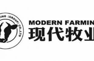 现代牧业(01117.HK)预期2023年净利润约1.6亿-2亿元 同比减少约66%~72%