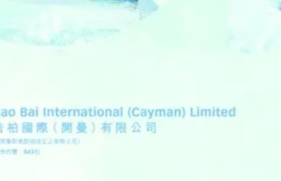 浩柏國際(08431.HK)：袁偉強辭任獨立非執行董事