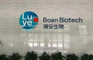 博安生物(06955.HK)H股成交量异常变动  地舒单抗(60MG)在玻利维亚获批上市