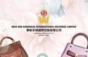华新手袋国际控股(02683.HK)年度纯利增加约125.5%至6430万港元