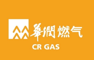 華潤燃氣(01193.HK)4月27日耗資1087.36萬港元回購57.95萬股