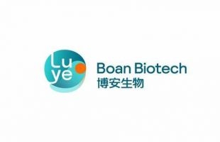 绿叶制药分拆的博安生物-B（06955.HK）19日起至22日招股，入场费4000元