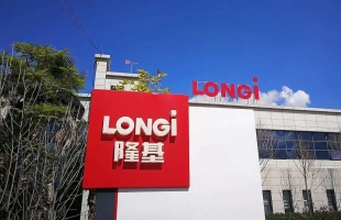 隆基绿能（601012）光伏寒冬中的幸存者，BC技术押注