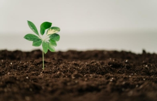 生态财經：能源央企密集召開年度工作會議，擴大有效投資等是今年重點