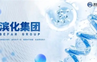 濱化股份(06745.HK)發售價定為每股3.48港元 預期7月10日上市
