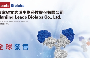 維立志博(09887.HK)：核心産品LBL - 024處于注冊前臨床階段