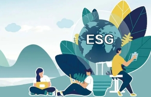 国际绿色航运走廊联盟启航 航运脱碳规则竞赛进入协同阶段