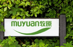 牧原股份(02714.HK)预计2月6日上市 引入富达基金等多家基石