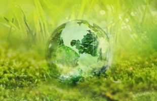 中国碳中和集团与滑县共商绿色合作新篇章 携手推进新能源应用与循环经济示范建设