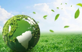 湯鋒：錨定綠電黃金賽道，堅定長期價值信仰