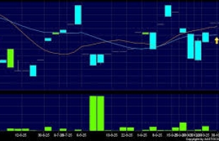 SHANGHAI GROWTH(00770.HK)10月末每股資産淨值為0.09美元