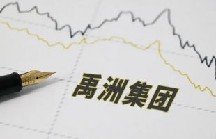 禹洲集团(01628.HK)尽快向境外债权人等提出方案 避免了若干境内证券违约