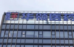 十年磨一劍，華領醫藥（02552.HK）全球首創糖尿病藥業績靓麗，Nature下屬期刊撰文報道，股價大漲48%引投資者青睐