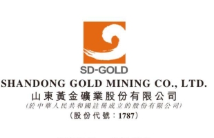 山东黄金（01787.HK）单日涨超10%，三重利好引爆黄金板块