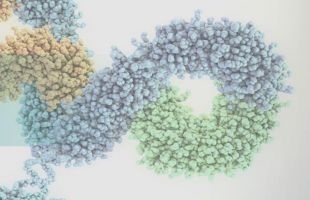 凯基证券：百奥赛图（02315.HK）新股简介 建议中性