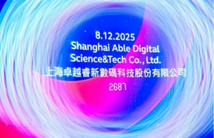 卓越睿新（02687.HK）附属被罚款并禁止参加政府采购一年