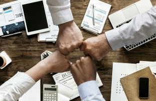 安莉芳控股（01388.HK）2025年收益11.7亿港元，旗舰品牌安莉芳逆势增长8.2%