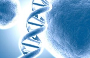 中科生物(01237.HK)授出390万股奖励股份