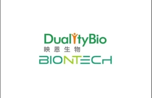 映恩生物-B(09606.HK)獲納入恒生綜合指數成份股及獲調入港股通證券名單