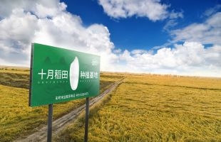 港股IPO | 十月稻田（编号︰09676）今日起招股,入场费约4788港元