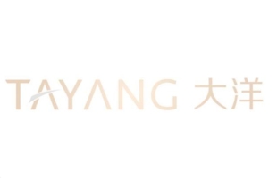 大洋集团(01991.HK)未来或通过供股集资，用于发展AI数字人、RWA架构及购买战略性数字资产