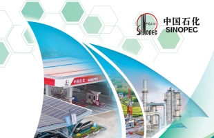 中國石油化工股份(00386.HK)8月21日召開董事會審議并批準半年度業績