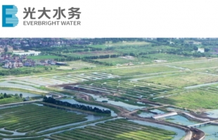 中國光大水務(01857.HK)蟬聯“傑出上市公司大獎”榜單