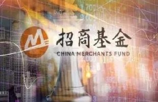 招商局中国基金(00133.HK)拟委任罗兵咸永道为新任核数师