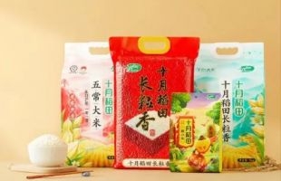 新股定价 | 十月稻田（09676.HK）以15.8港元定价，获1.3倍认购，一手中签率100%