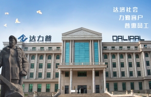 达力普控股(01921.HK)根据购股权计划发行10万股
