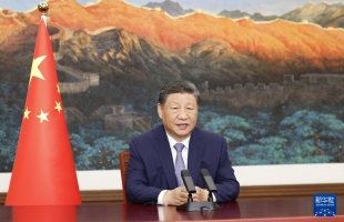 习近平：中国将宣布覆盖全经济范围、包括所有温室气体的2035年国家自主贡献目标