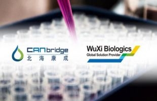 北海康成-B(01228.HK)附屬拟委任百洋附屬公司為獨家合同銷售組織(CSO)以推廣集團若幹産品
